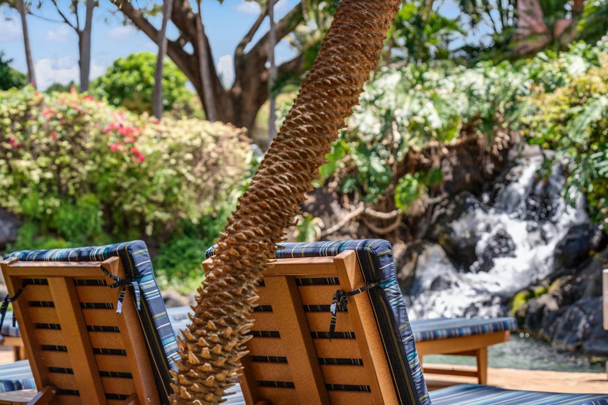 Kahana Falls Resort Napili-Honokowai Екстериор снимка